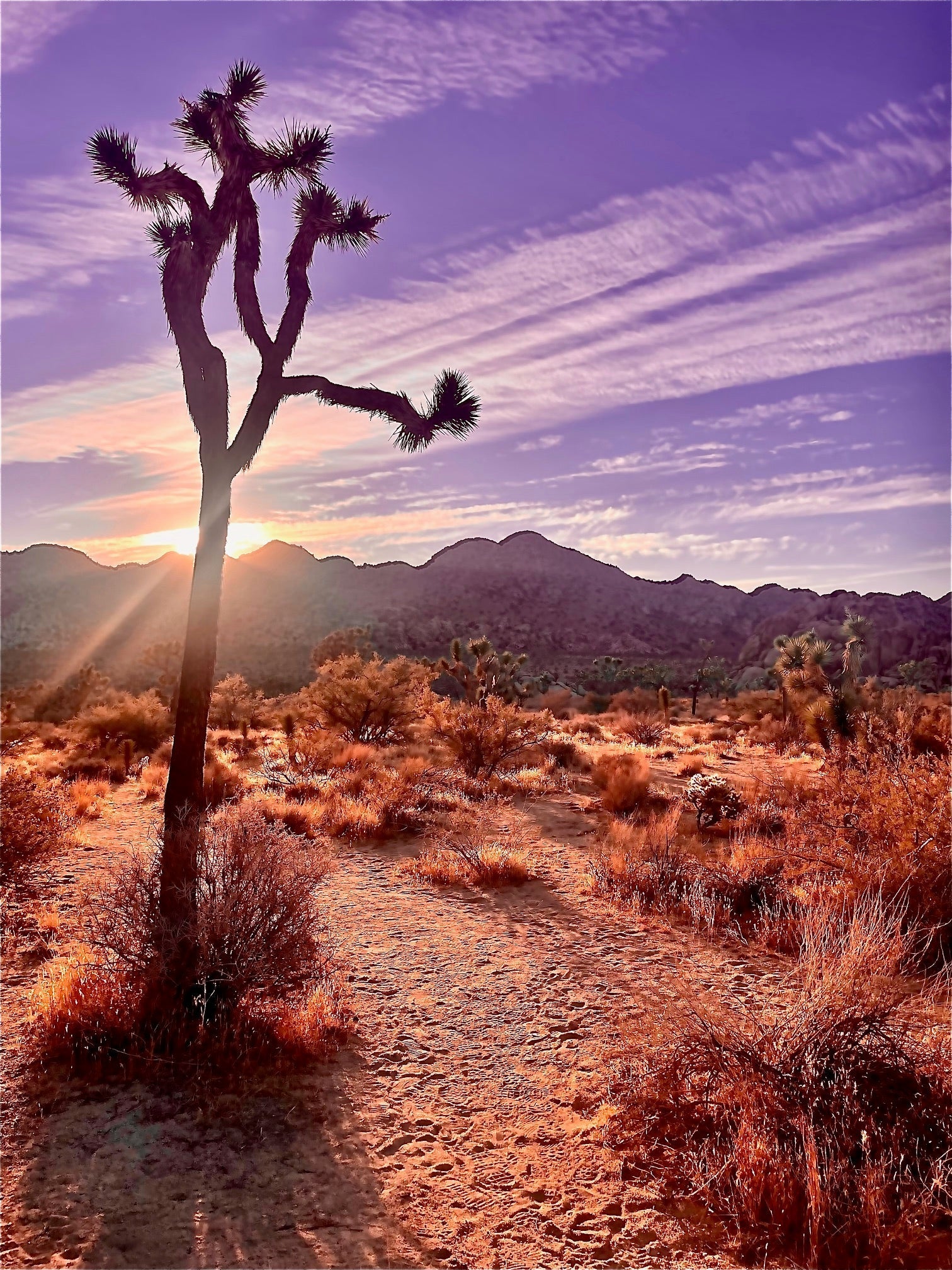 Landscape perfumery: translating places into perfume