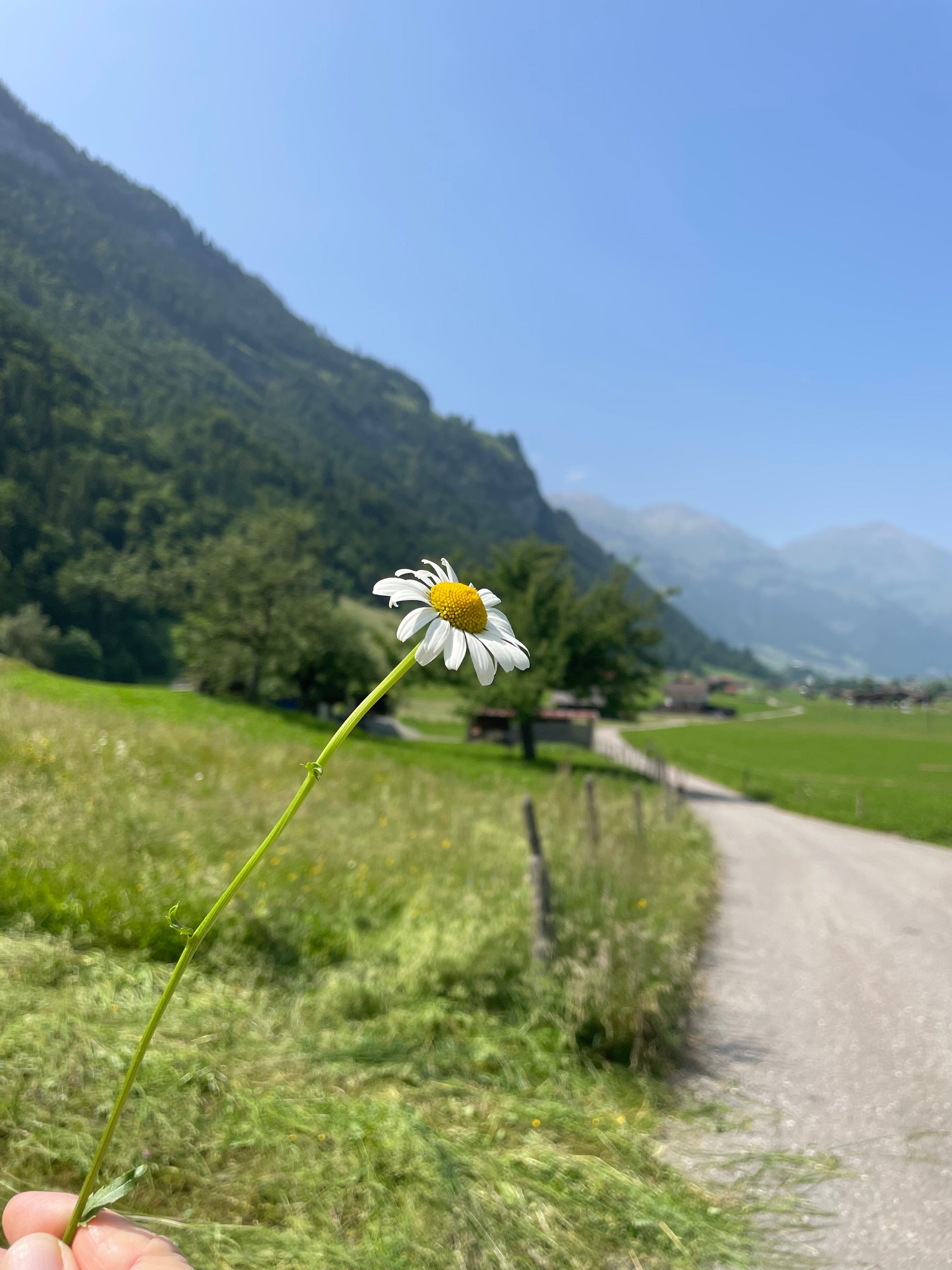 The Search for Strength – A New Generation on a Fragrant Journey