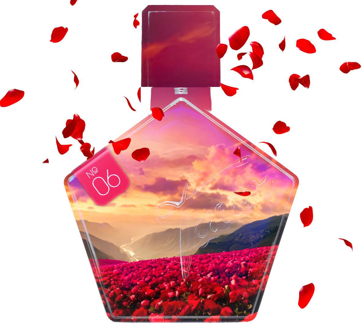 PERFUME VAULT